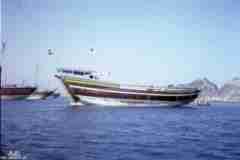 ���� ������ ��� ��� ����